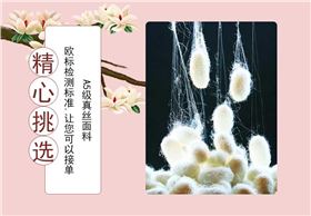 小真絲圍巾價格，真絲圍巾，真絲絲巾，圍巾品牌