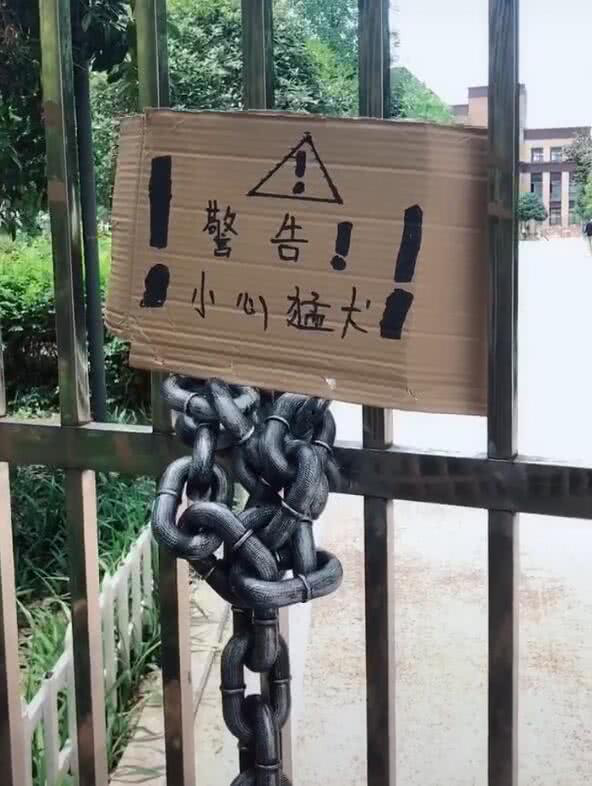 圖片1 圖片1